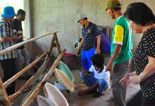 Simavi goes for acceleration of access to water and sanitation in East Indonesia